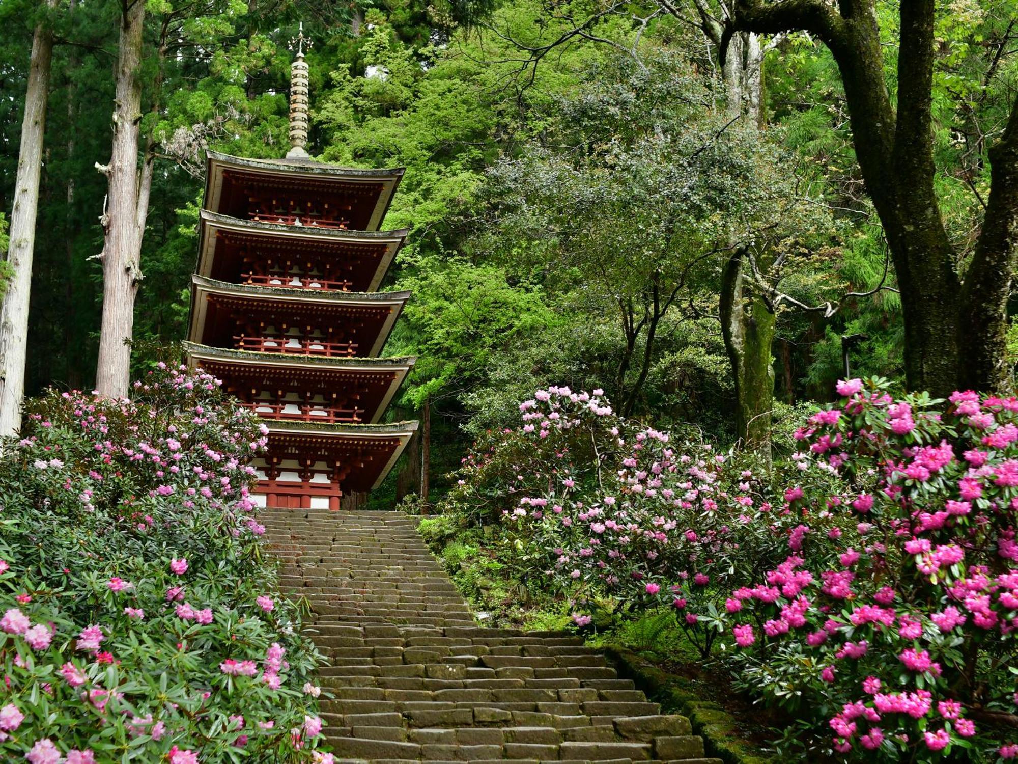 Grand Mercure Nara Kashihara Kashihara  Exterior photo
